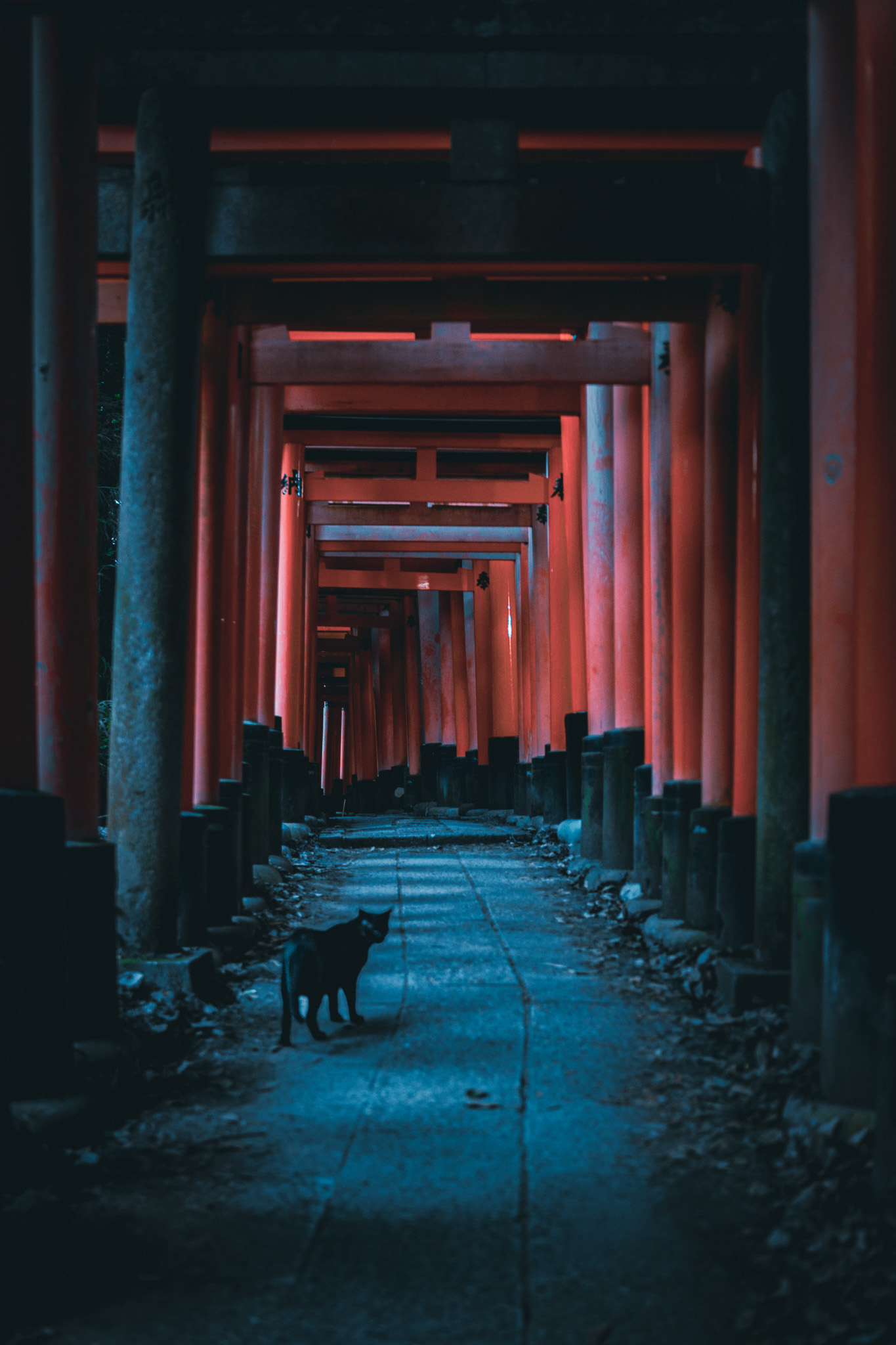 Cities & Architecture