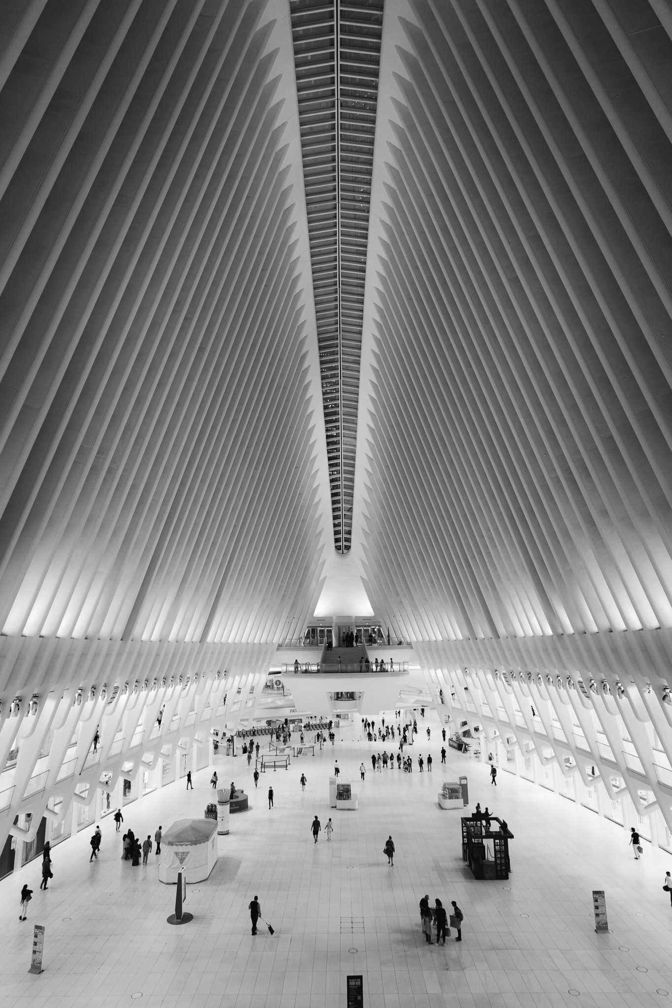 Cities & Architecture