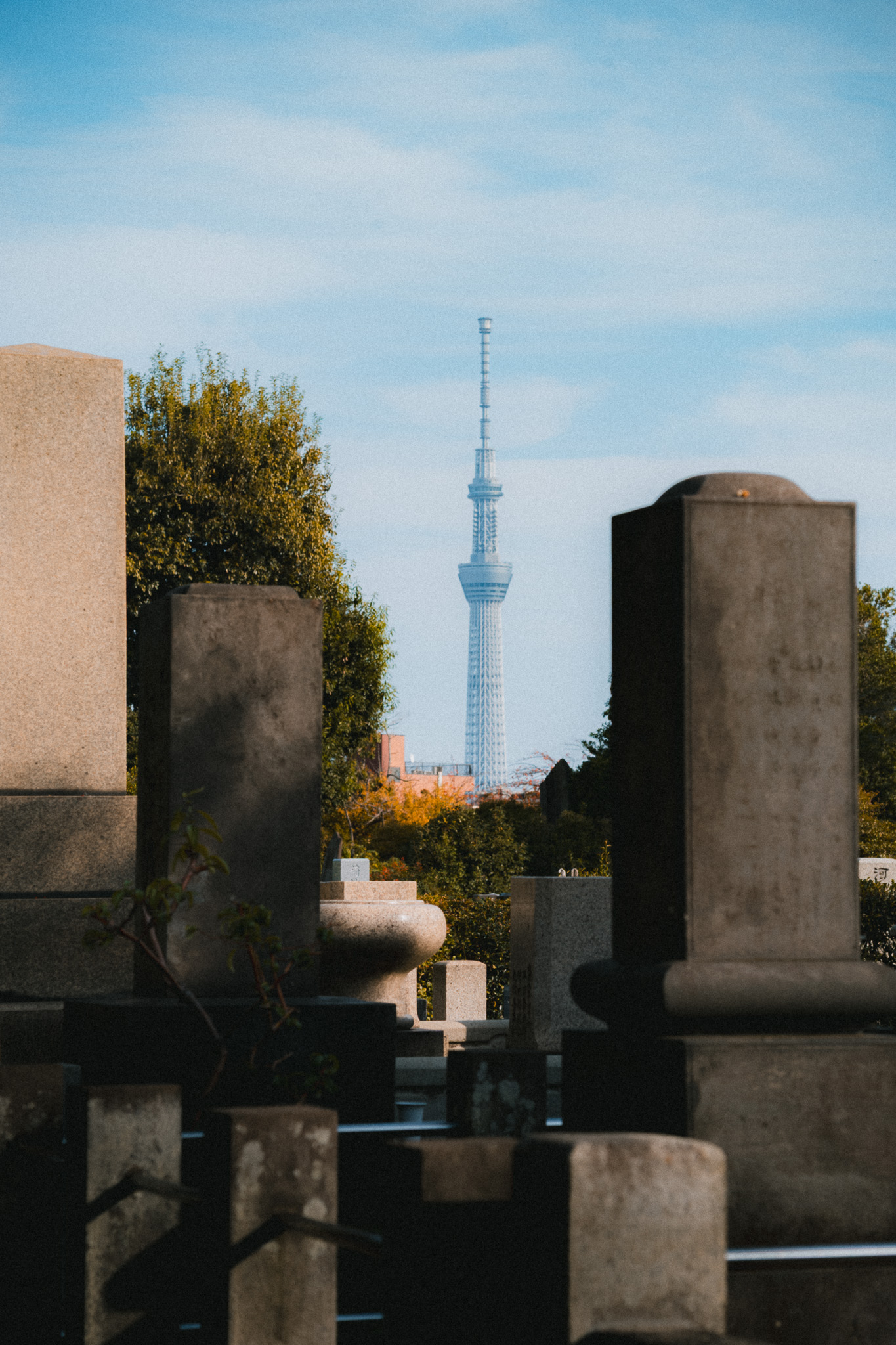 Cities & Architecture