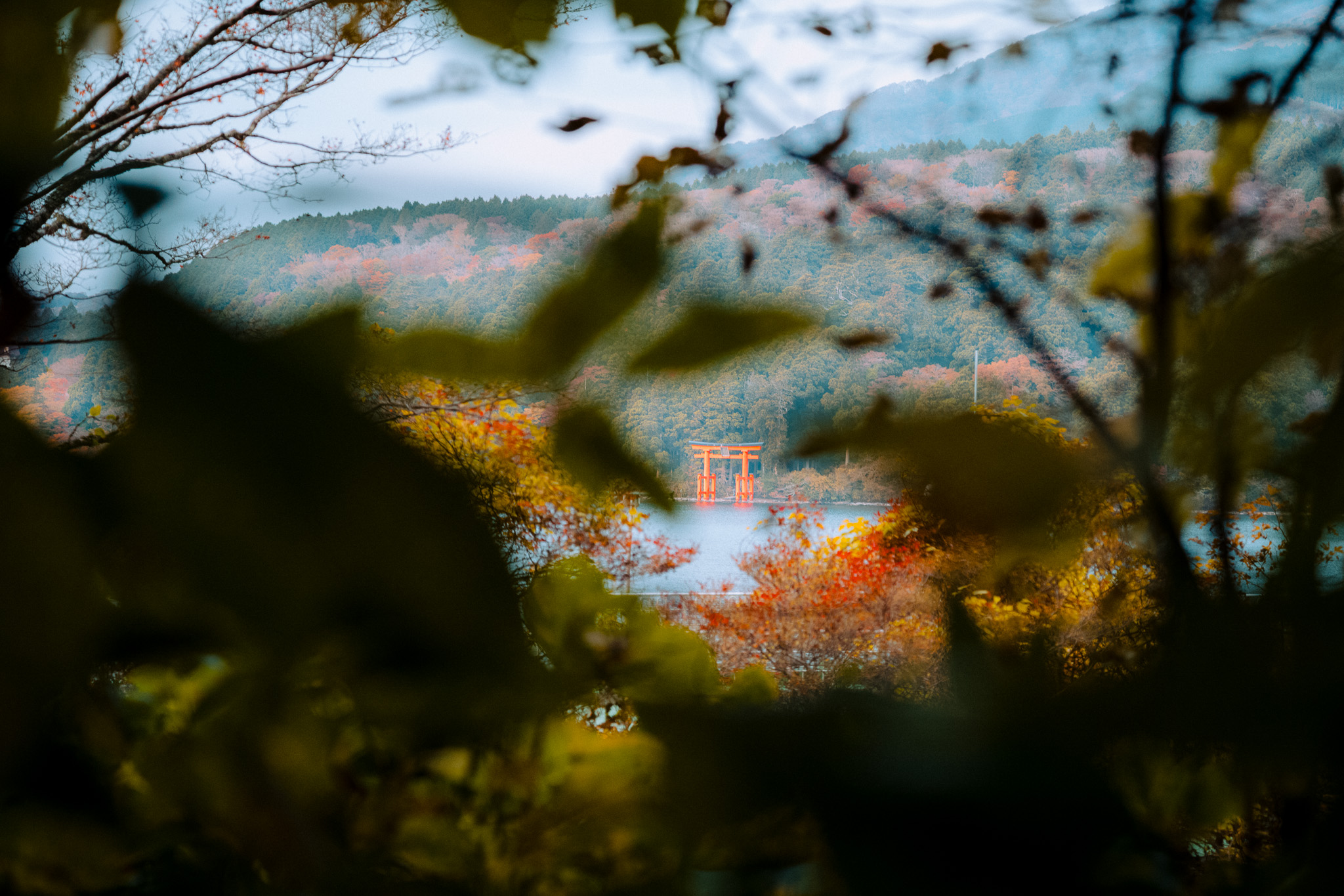 Cities & Architecture