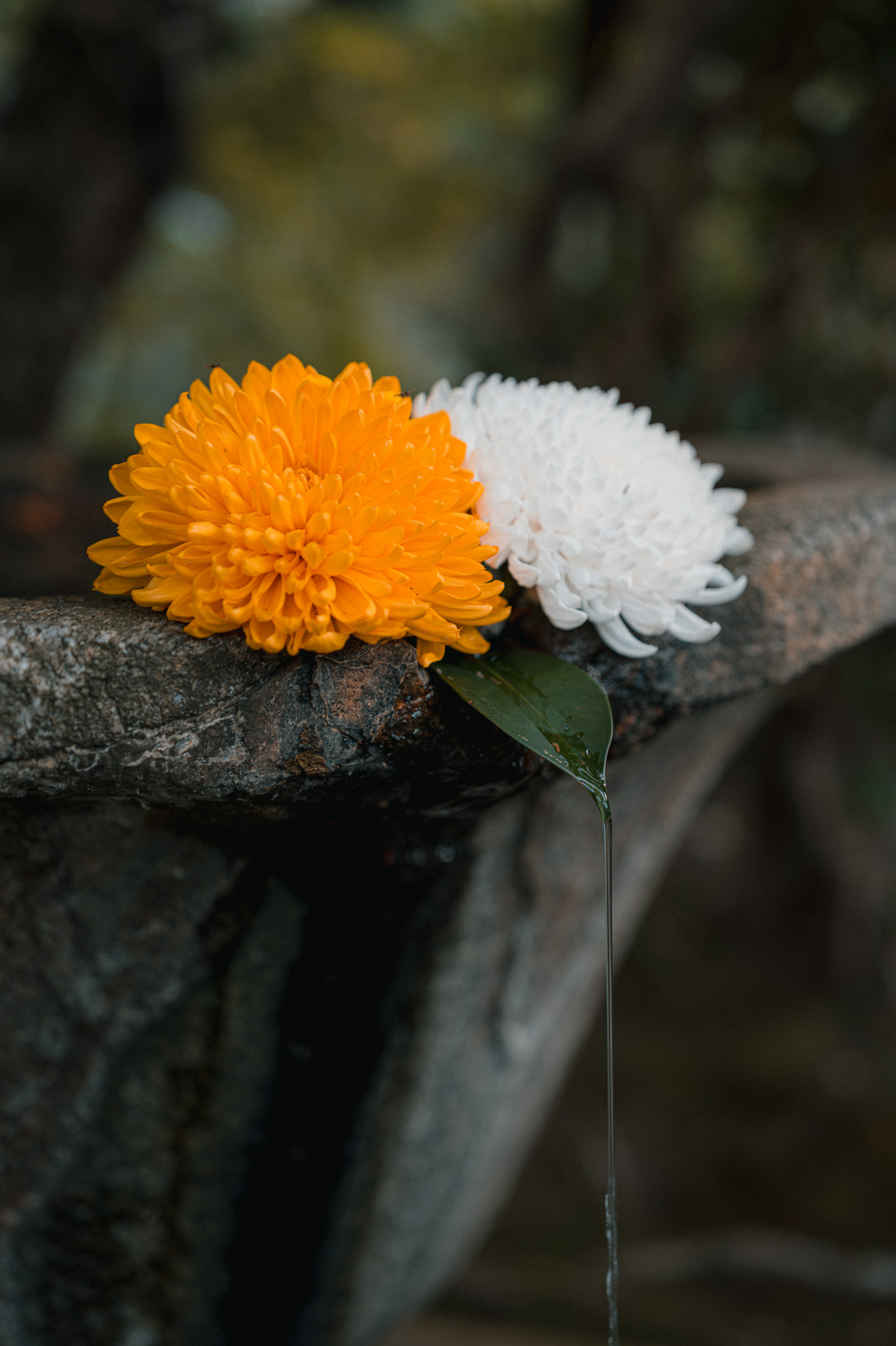 Cities & Architecture